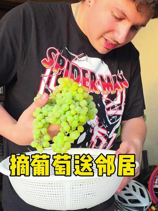 农村父母在美国 美国 种菜 山东豆角子