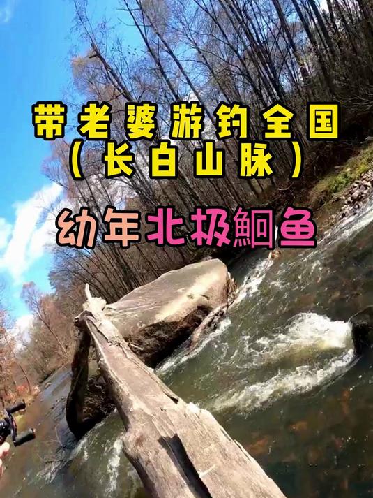 美景和惊喜双重降临，终于见到北极鮰鱼。#春日收藏家#