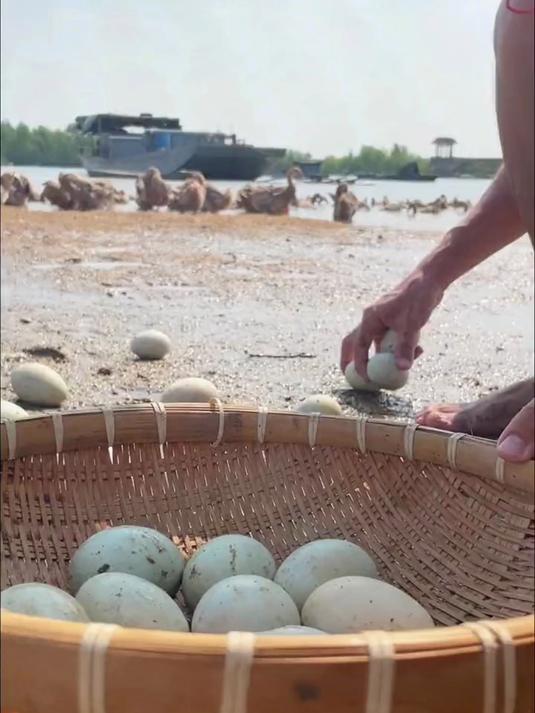 烤海鸭蛋,隔水加热,口感会更好!