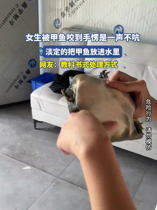 女生被甲鱼咬到手愣是一声不吭,淡定的把甲鱼放进水里