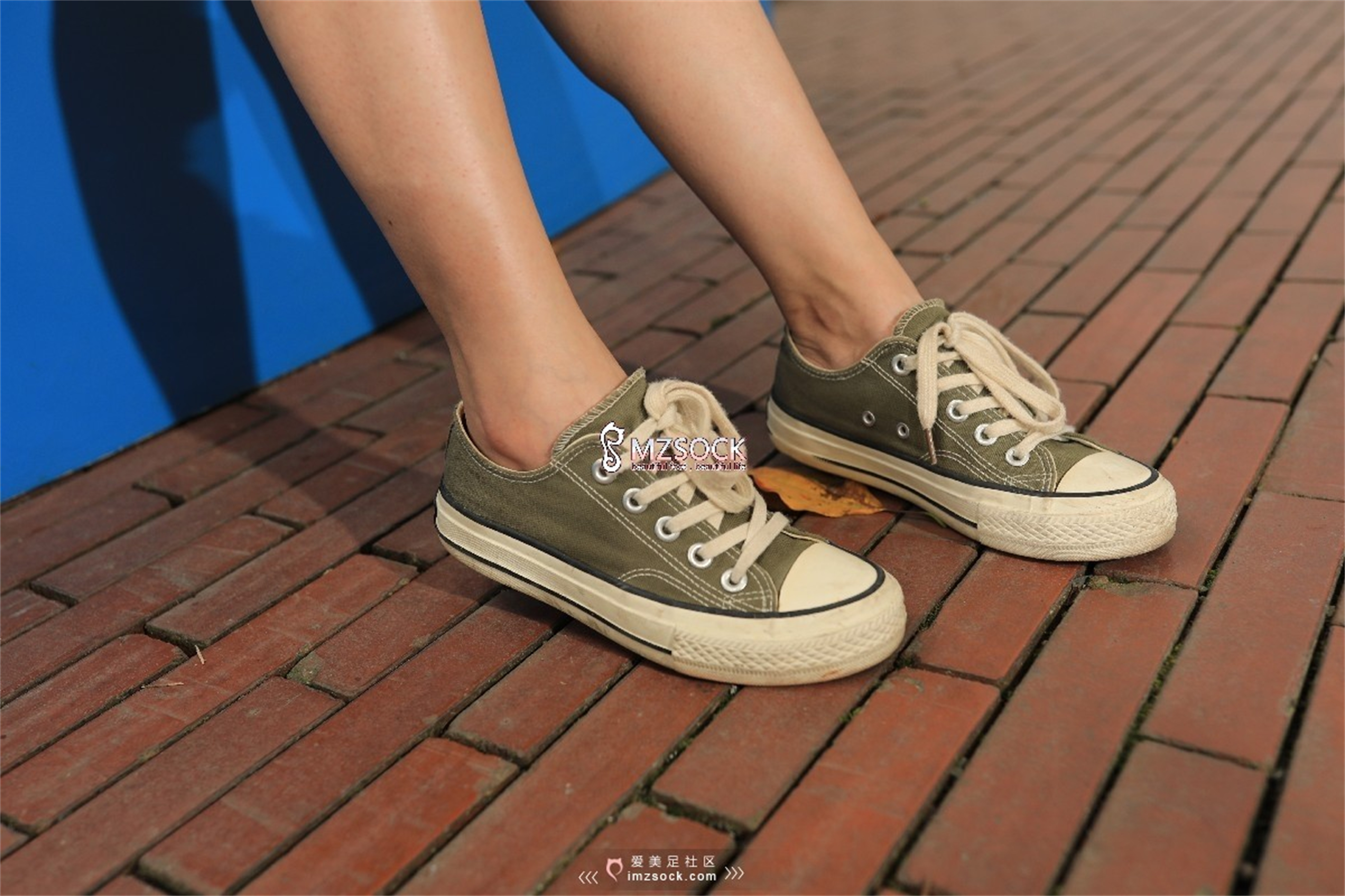 图片[4]-[MZSOCK]爱美足 NO.046 晶晶[81P163M]-六色网