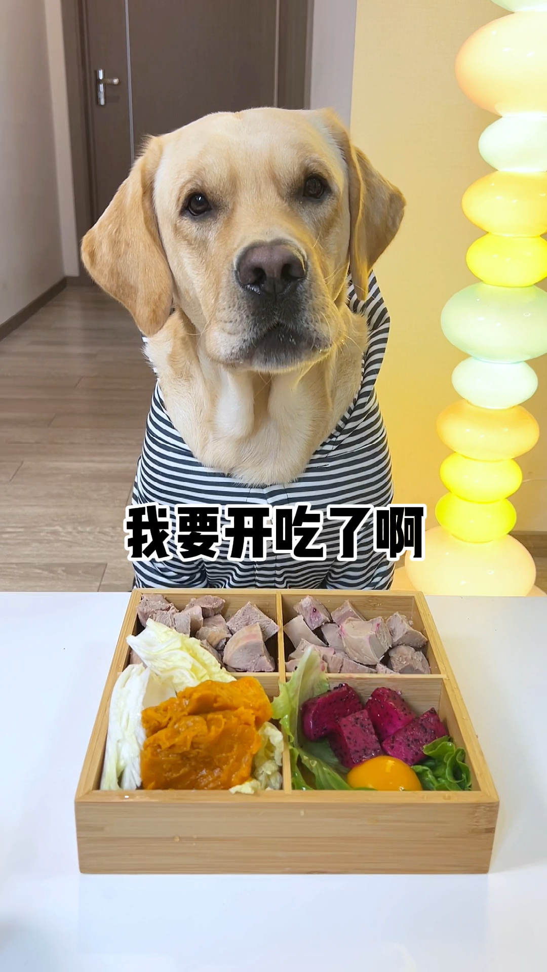 小狗简单的一餐,简易配餐,营养比我吃的均衡