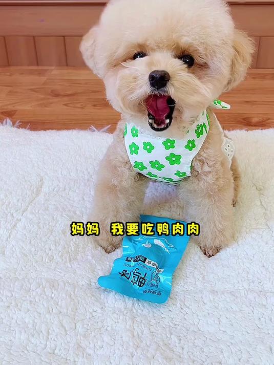 蒸煮鸭肉,肉质紧实,撕开都是新鲜的肉丝,品质非常高