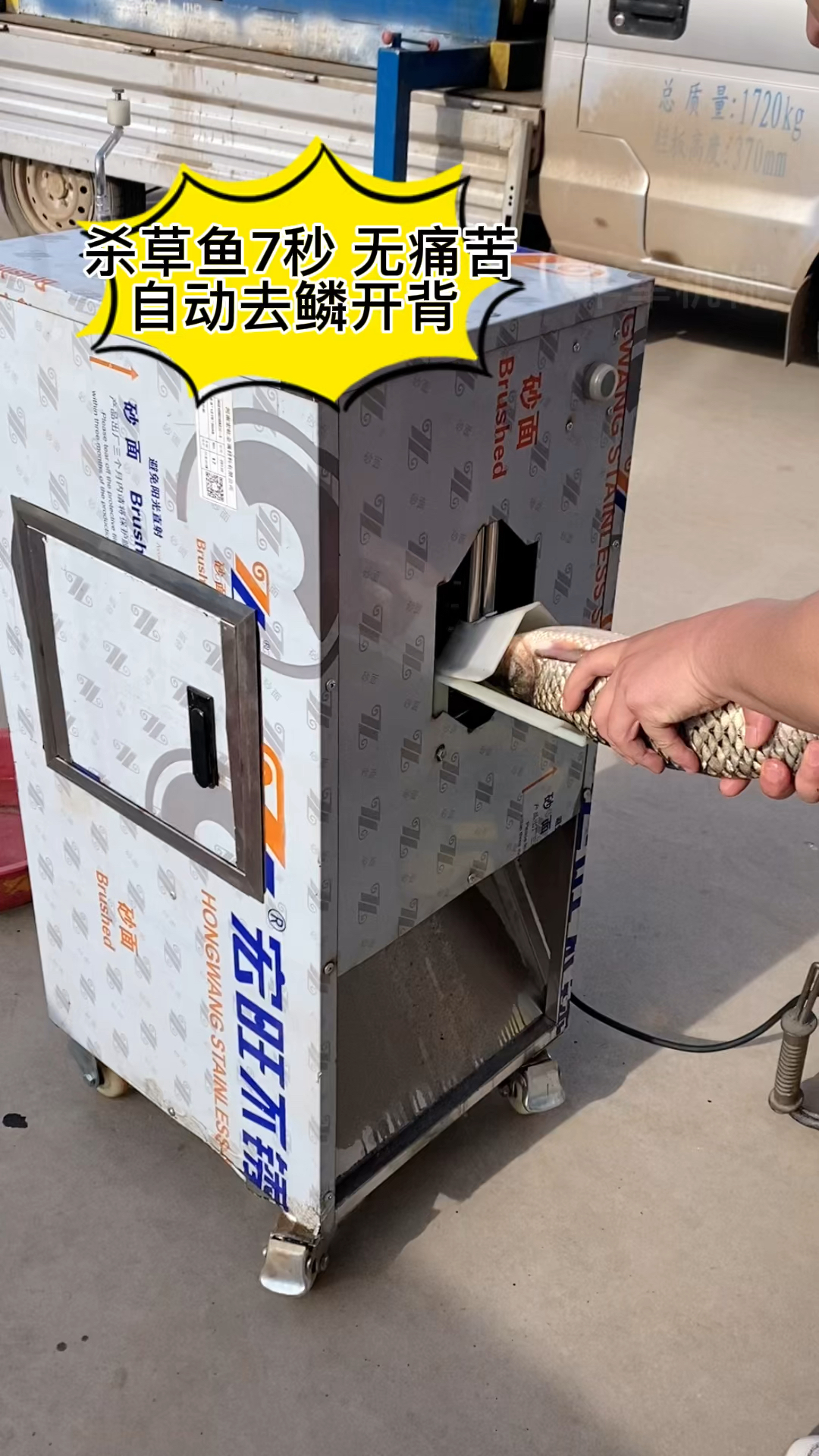 全自动杀鱼机去鳞开背开肚一体机