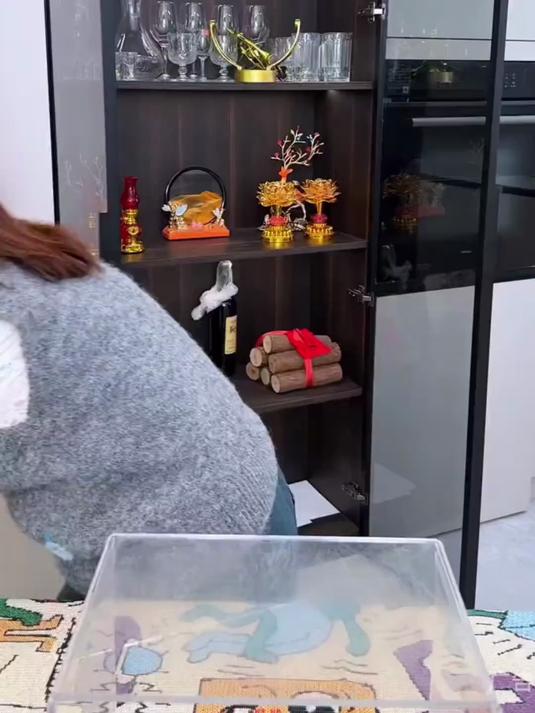 这个超实用的菜罩又降价了,大家快来看看