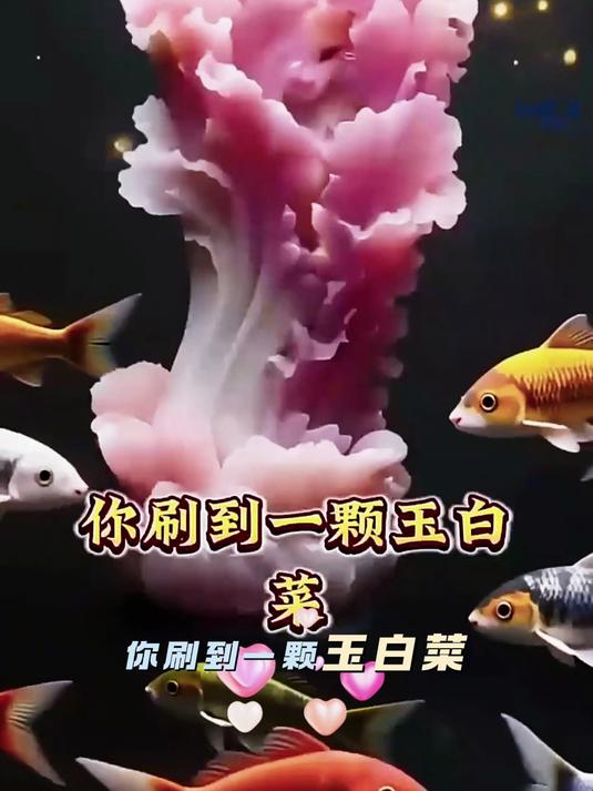 有缘人才能看到