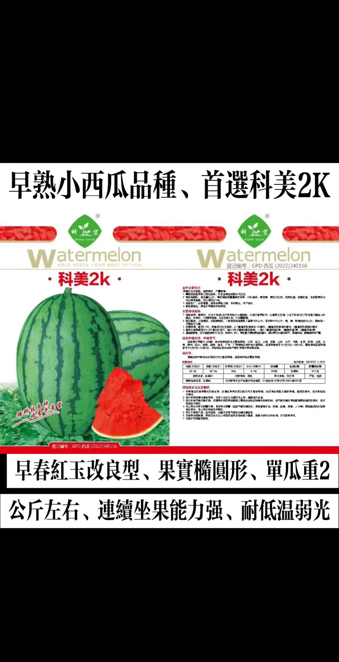 早熟品种、首选科美2K#好产品一起分享 #西瓜种植 #西瓜种子