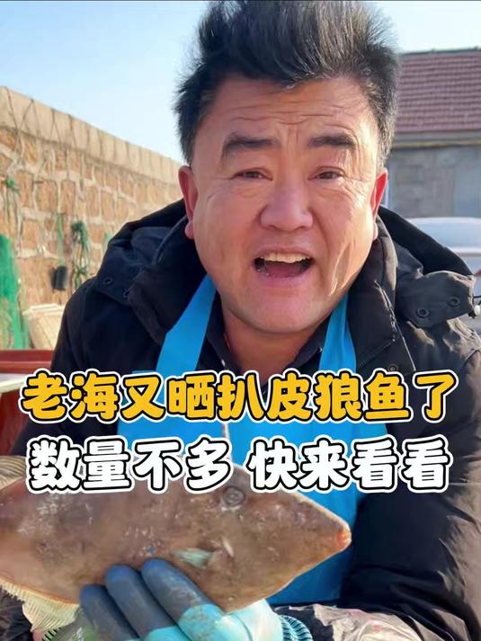 老海又晒扒皮狼鱼了 数量不多快来看看