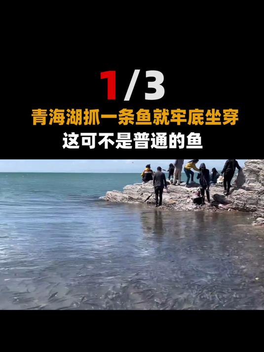 老人在青海湖边,抓一条小鱼给孙子看,结果鱼死了老人要被处罚?