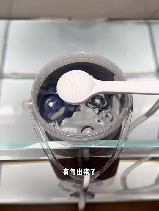 你们都说主播的亚卡龙是丰年虾，那主播就来养一养丰年虾