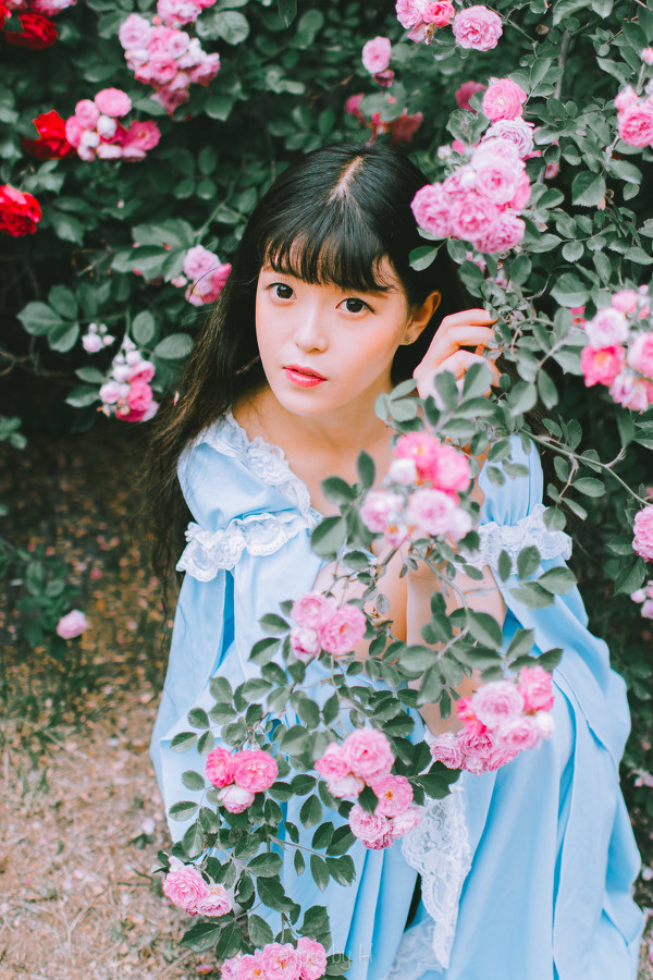 图片[3]-少女和蔷薇-六色网