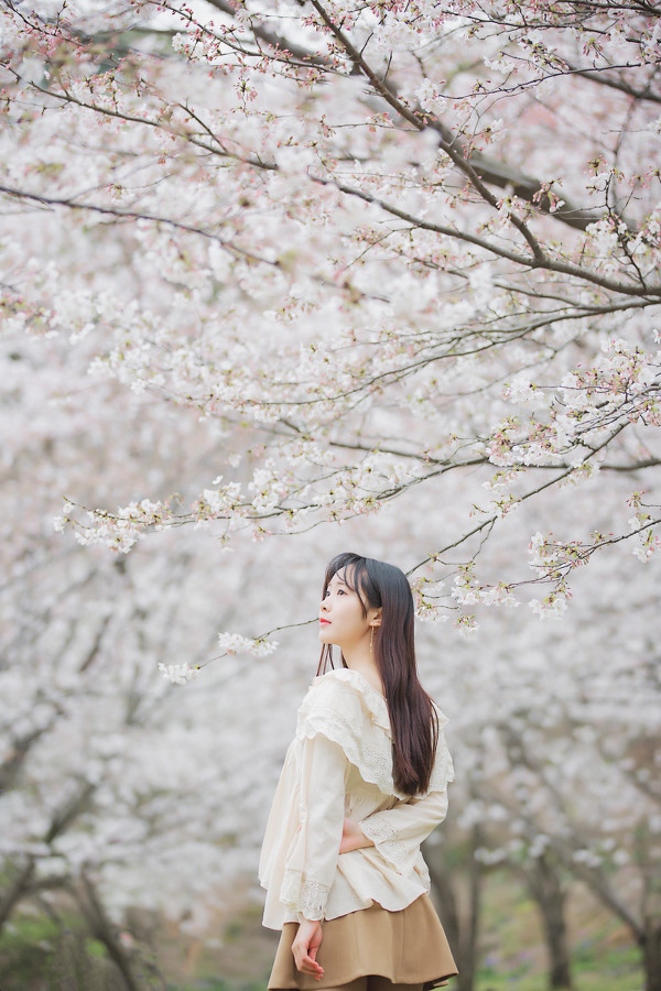 图片[19]-三生三世，百里樱花-六色网