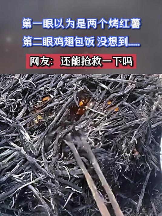 第一眼以为是两个烤红薯，第二眼鸡翅包饭，没想到