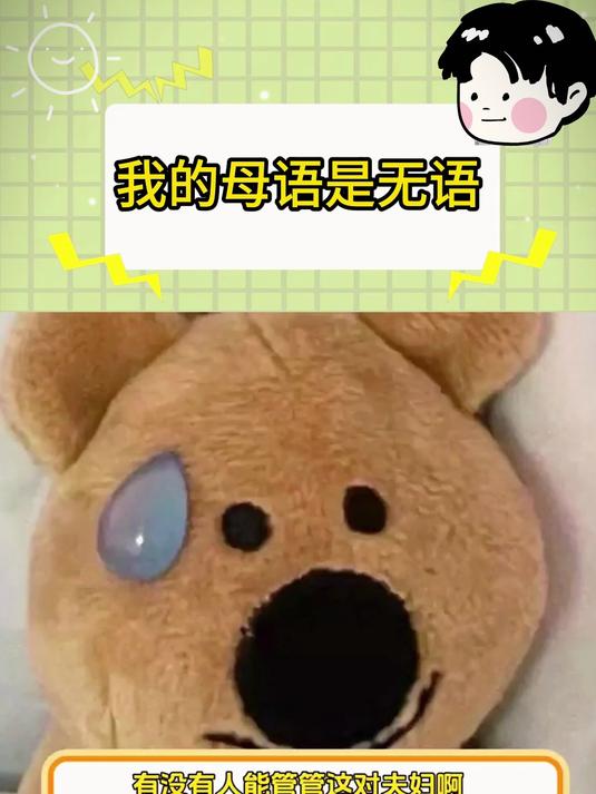 我的母语是无语,他俩的受众到底是谁