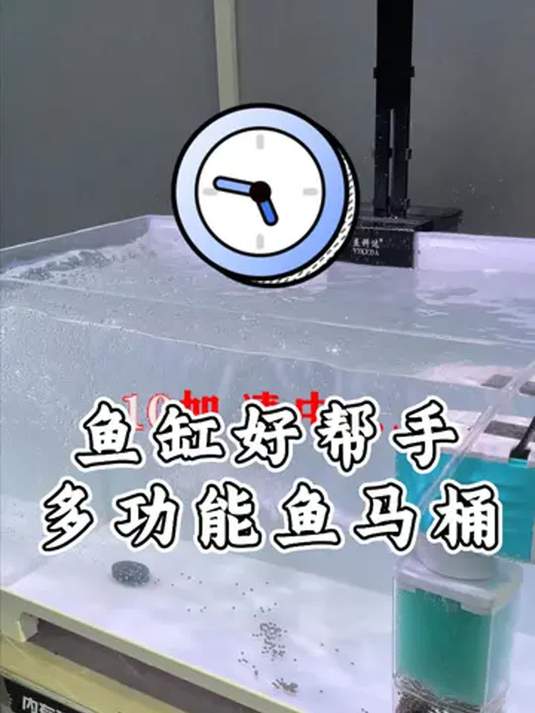 鱼马桶实用超乎想象 你知道咋用吗 养鱼必备