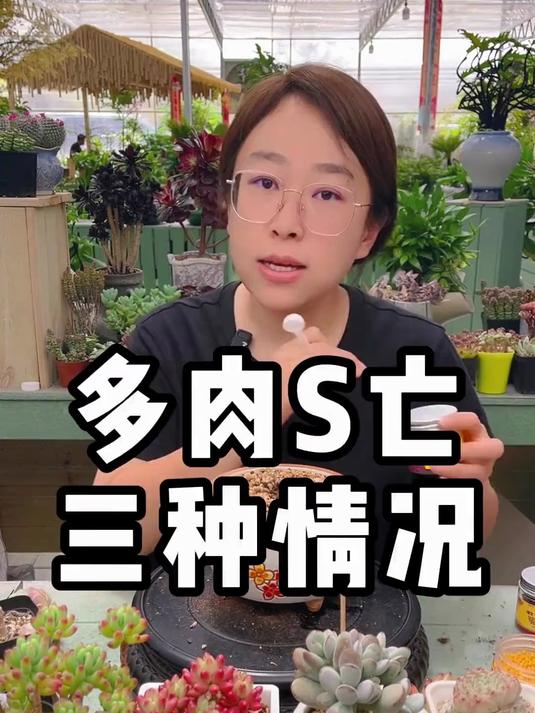 多肉总是养不活有几种问题