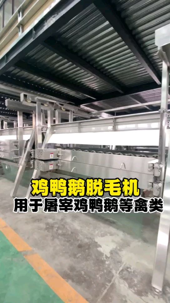 鸡鸭屠宰流水线设备 鸡鸭是用什么机器屠宰的 活禽宰杀设备
