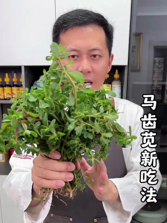 马齿苋新吃法