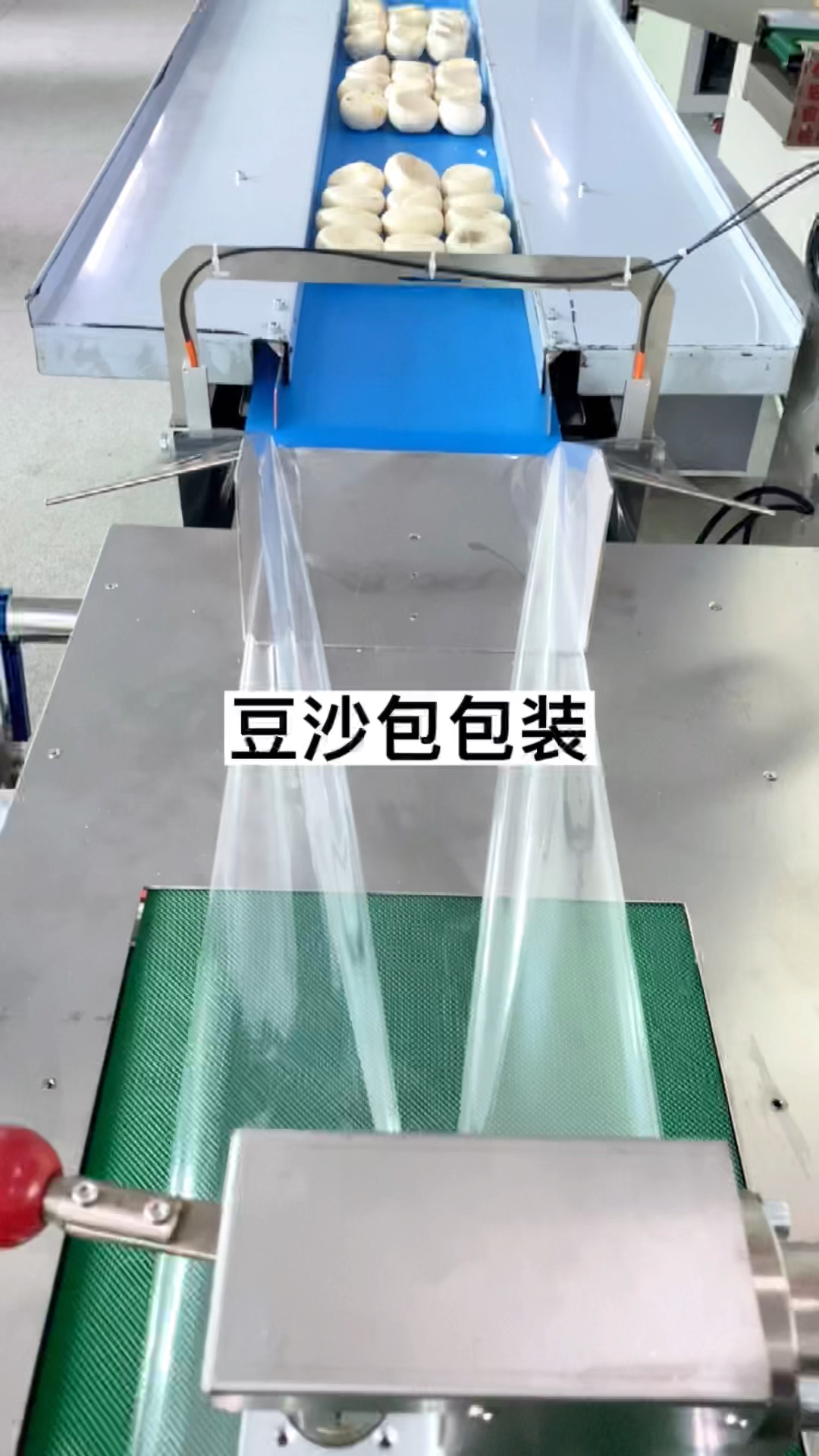 豆沙包自动包装机 放了几天就发霉了,这是试机的 包子包装机 枕式包装机 食品包装机