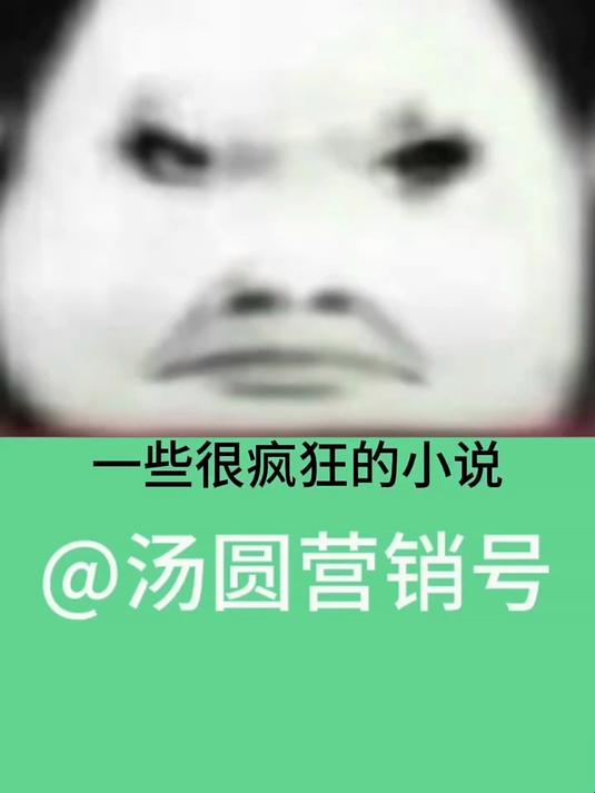 一点点点很疯癫的小说