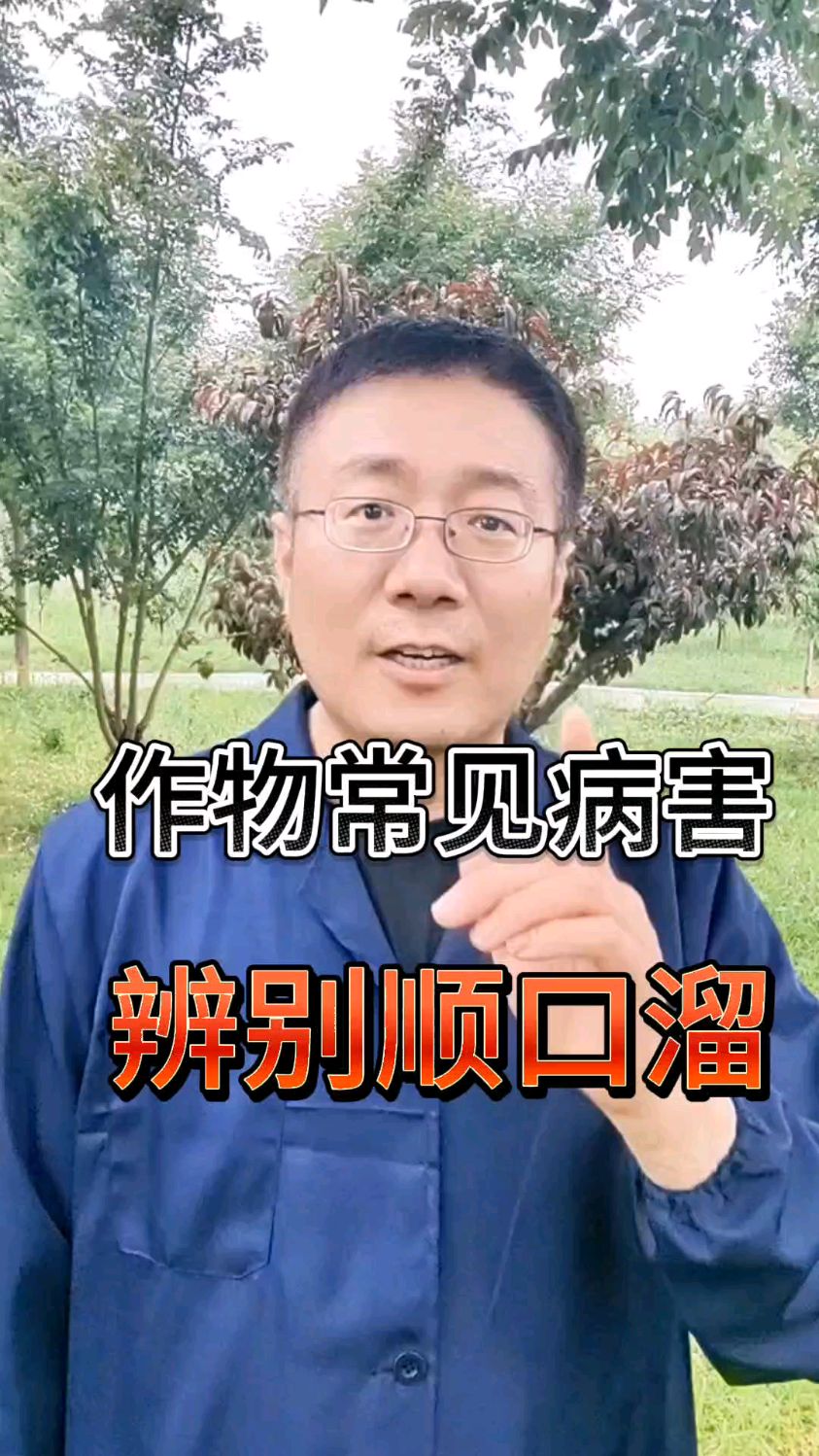 花卉绿植、瓜果蔬菜、大田作物常见病害及辨别方法