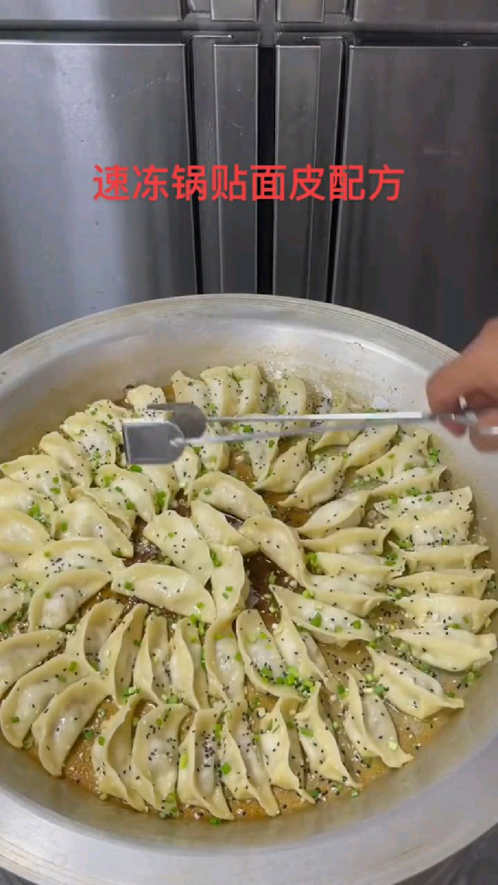 速冻锅贴和面配方:面粉500克,速冻油5克,盐3克,碱 2克,鸡蛋一个,水240克