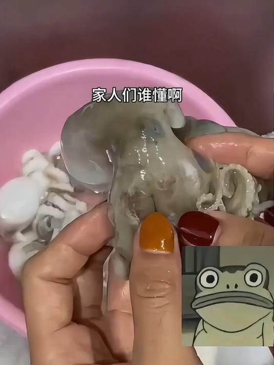 章鱼身上有很多蓝色的圆圈