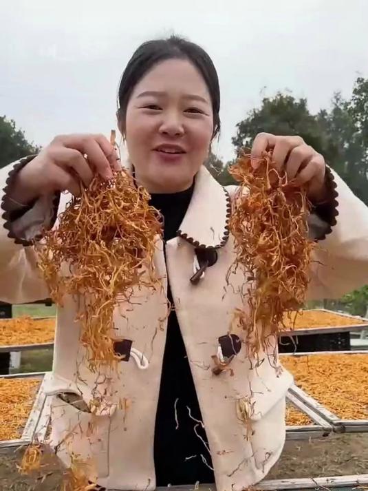 简单食材出靓汤!虫草花煲鸡汤超赞