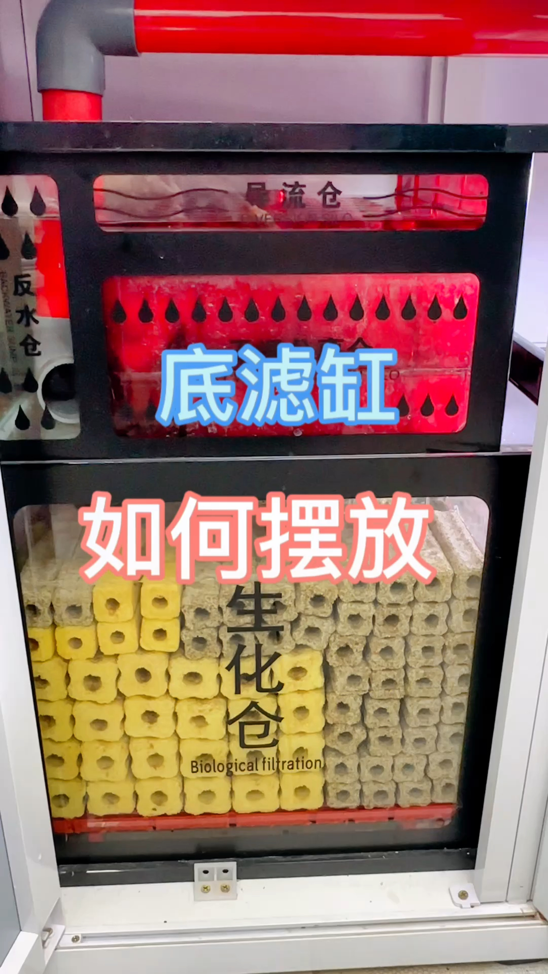 想要水清鱼靓?底滤缸滤材摆放顺序你做对了吗?#水族 #过滤系统 #观赏鱼