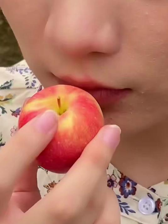 头茬鸡心果今年鸡心果上市了，比苹果好吃