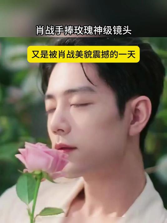 肖战手捧玫瑰神级镜头,又是被肖战美貌震撼的一天