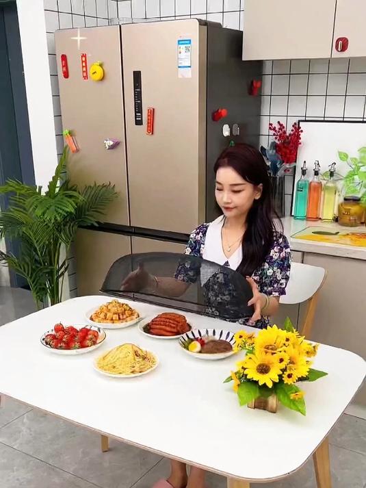 你还在用这个的老款菜罩吗?