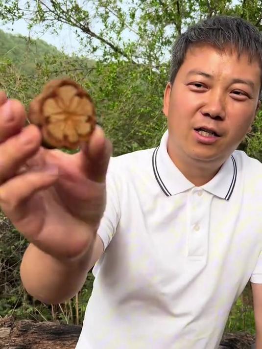 「血塞通」云南野生高品质红藤划算配比老树大血藤大红藤片