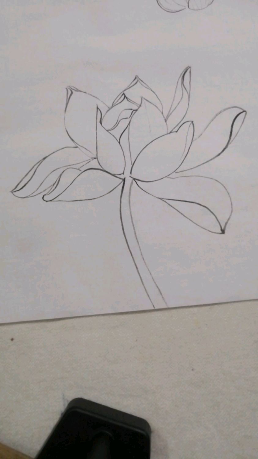 国画荷花白描