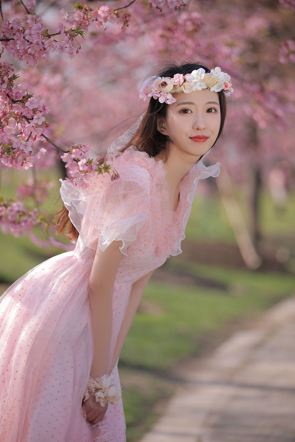 图片[36]-樱花-六色网