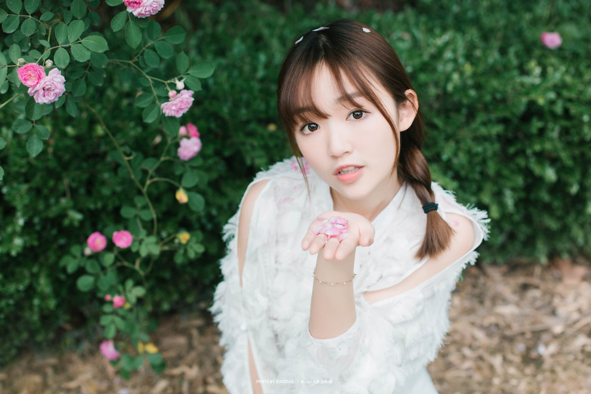 图片[15]-The rose in the wind-六色网