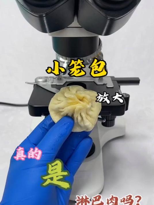 小笼包真的是淋巴肉吗?显微镜下的世界
