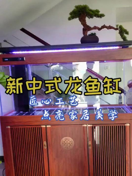 带你走进中式美学,新中式龙鱼缸绝美揭晓!