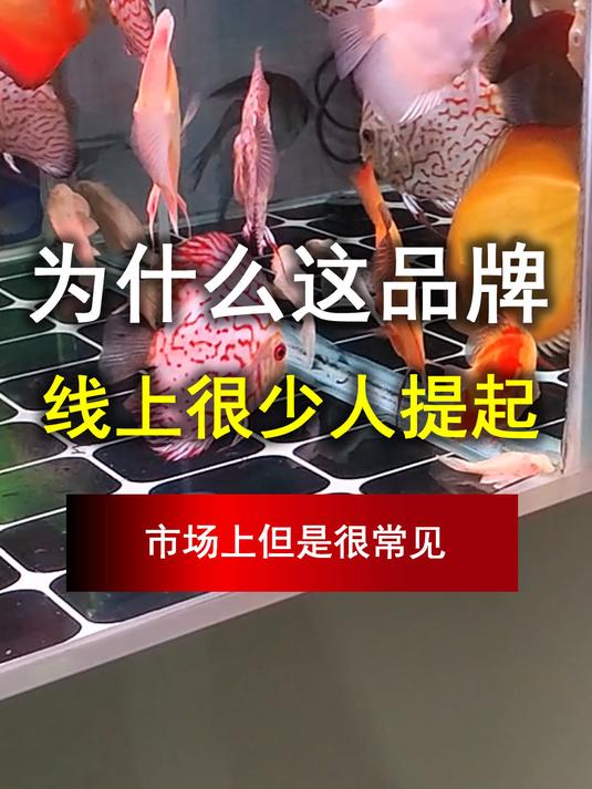 养鱼为什么这品牌,线上很少人提起,市场上但是很常见