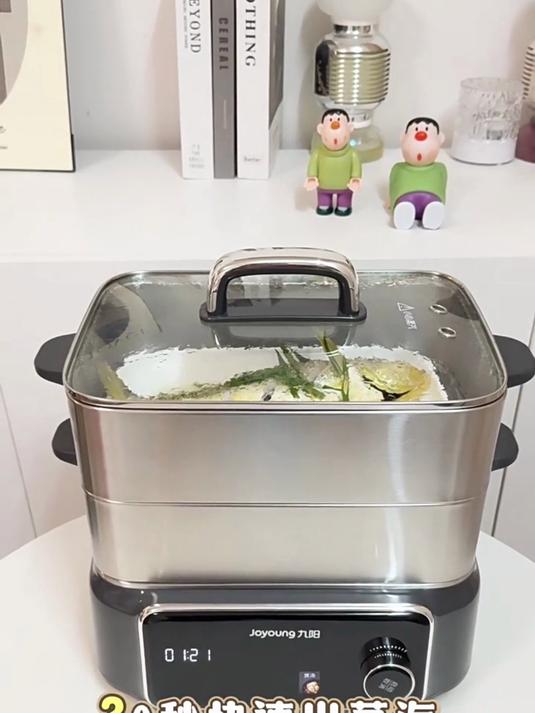 九阳电蒸锅