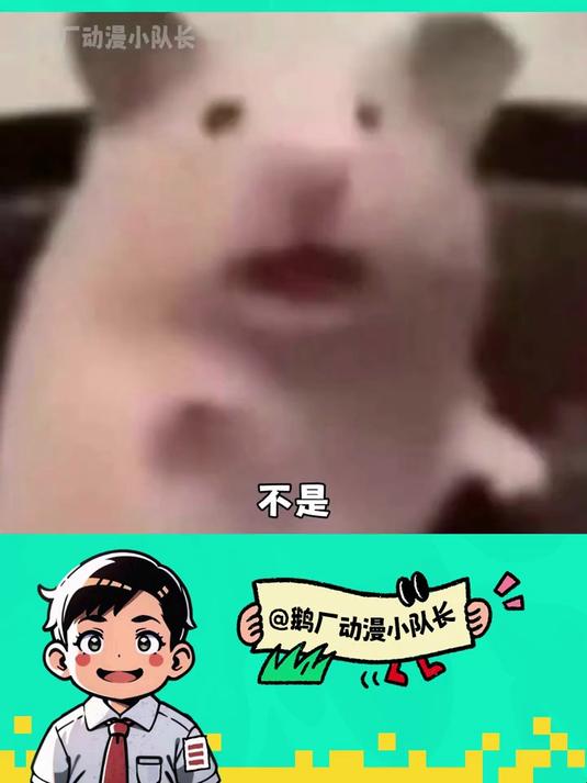 海底小纵队:海胆没胆?