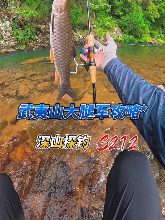 武夷山探钓大腿军，9斤的大军鱼啊！