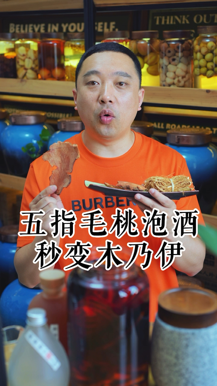 五指毛桃泡酒,加上土茯苓的后果!秒变木乃伊!