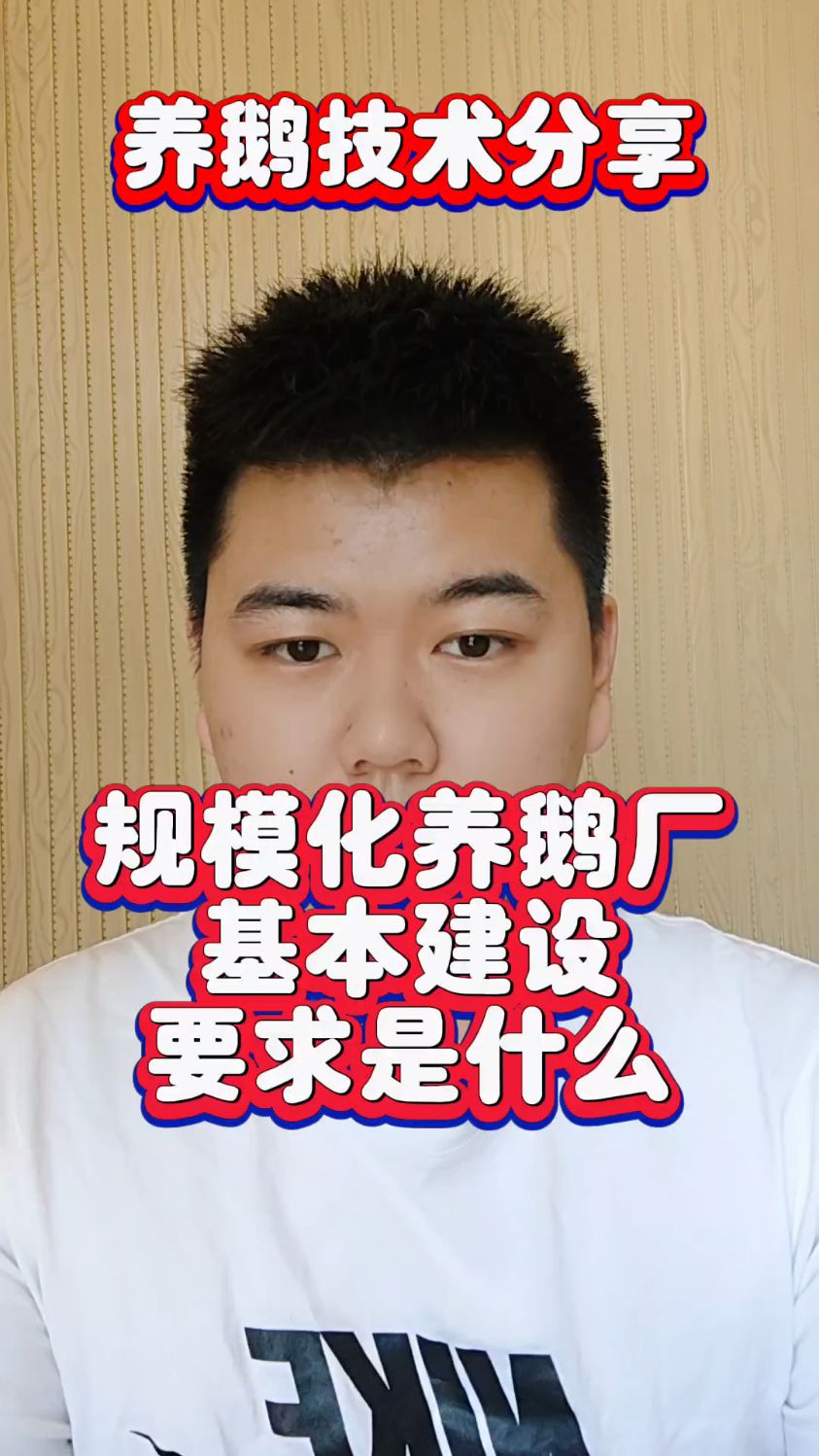 #养鹅需要什么样的环境和场地养鹅的场地和环境要怎么选择家庭养鹅棚舍建设方法养鹅场地