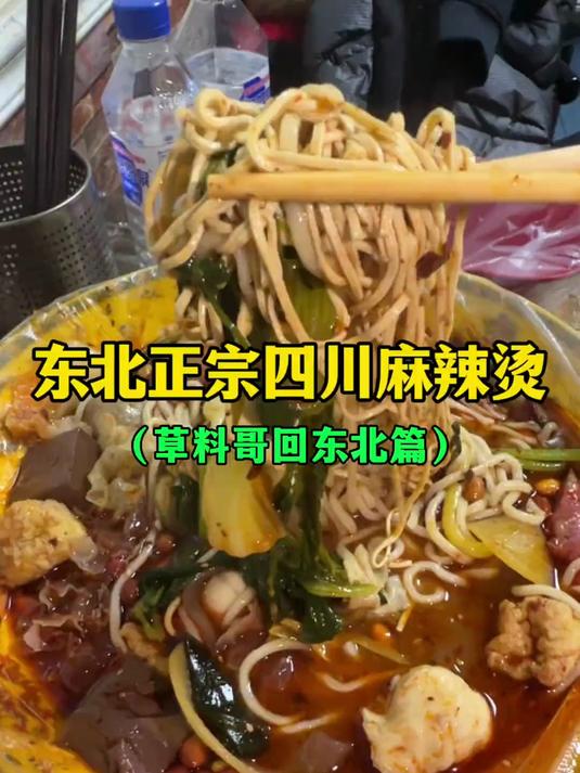东北正宗四川麻辣烫(草料哥回东北篇)