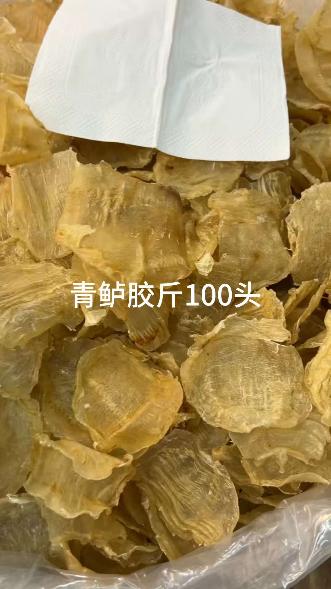 花胶鱼胶每日分享!