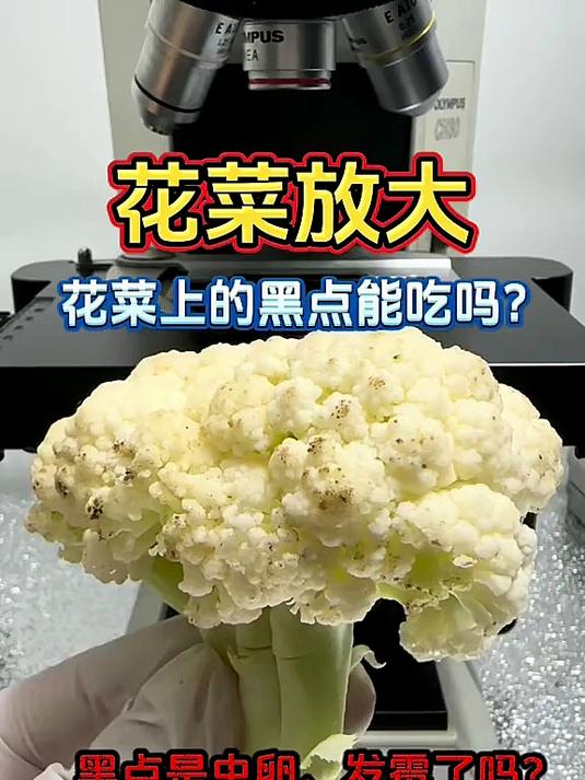 菜花上的黑点是什么?放大看看