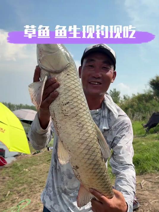 野河现钓大草鱼！去鳞、放血、切片，一分钟上桌开吃！