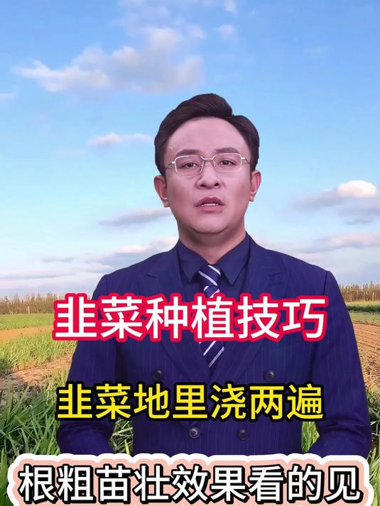 韭菜种植有技巧,用对方法很重要