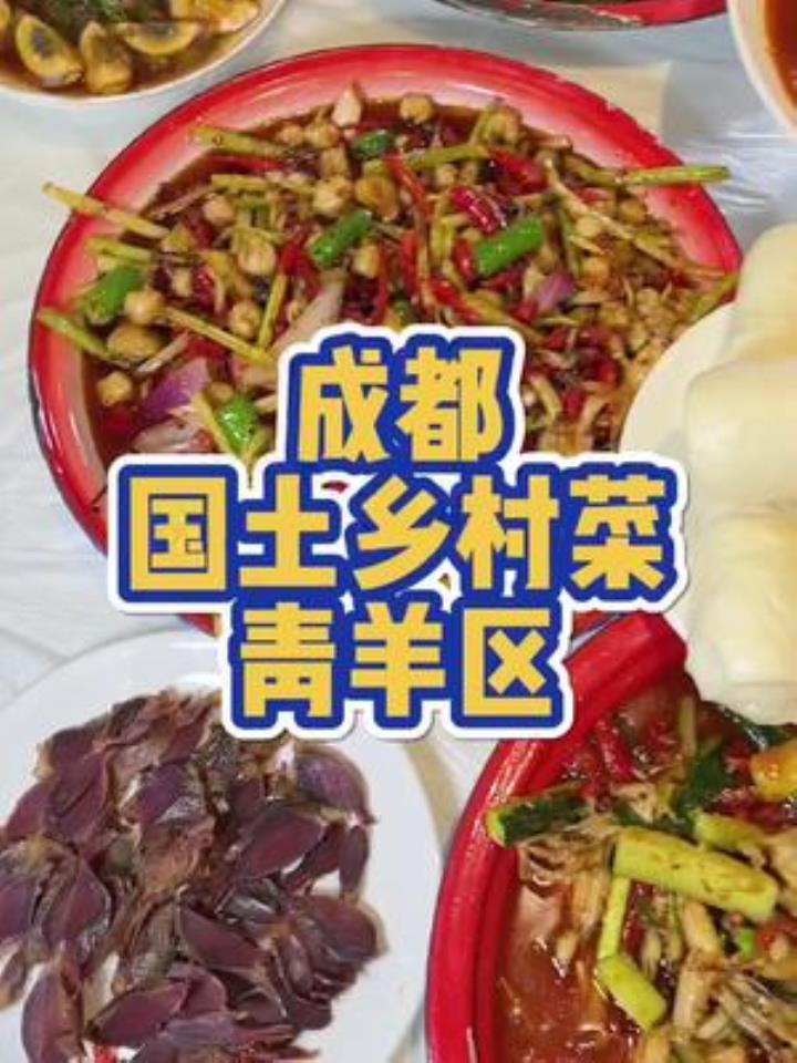 成都也有不错的江湖菜馆,中午去还不用排队